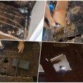 Ela podigla pod kuće, pa pronašla bazen - ali ne u kom može da pliva! Ljudi sa gađenjem gledaju ovaj snimak: Renoviranje se…