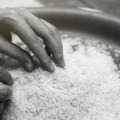 Ovaj pirinač je najskuplji na svetu: Košta 100 evra po kilogramu, a prodaje se kao na traci