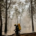 Požari u blizini Pariza uništili oko 1.920 hektara šume