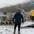 Počela evakuacija životinja zarobljenih na Krčedinskoj adi (VIDEO)