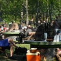 (Foto) Šatori, muzika i miris roštilja na sve strane: Na uranak uprkos mrazu, mnogi prespavali na izletištima, najviše je…