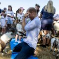 Princ Hari doživeo bizarnu nezgodu s kozom: Toliko je bio šokiran da je legao na zemlju da dođe sebi (foto)