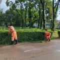 JKP „Mediana“ danas na više lokacija u Nišu: Uređuju ulice, parkove i zelene površine