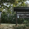 Drama na Fruškoj gori: Spasioci evakuisali povređenog planinara kod Popovičkog jezera
