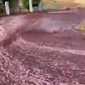 Crvena reka protutnjala ulicama: Portugalce šokirala neobična "poplava", evo o čemu se radi (video)