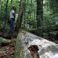 Zaboravljena prašuma na 100 kilometara od Banjaluke: Janj već dve godine na UNESCO listi svetske baštine (foto)