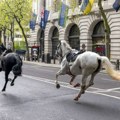 Konji Gardijske konjice pobegli sa vežbe, jurili centrom Londona (video)