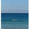 Pojavili se jezivi snimci žene koju je napala ajkula Vrisak odjekuje plažom, ljudi skamenjeni od straha - evo gde se tačno…