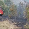 Gori nisko rastinje kod Čačka, vatra zahvatila nekoliko hektara