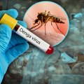 Povećan broja obolelih od denga groznice u Evropi