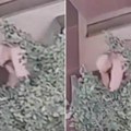 Muškarac udara ženu, pa pokušava da je baci sa terase! Horor u centru Beograda, stravičan snimak tuče kruži mrežama