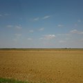 "Zemljište i voda - Izvor života": U Srbiji obeležen Svetski dan zemljišta