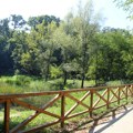 Deo Kameničkog parka i dalje zatvoren zbog klizišta: "Građani da ne skidaju inspekcijske trake"