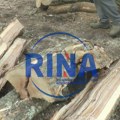 Šumokradice haraju šumama kod Berana: Otkriven lager od 20 bespravno posečenih trupaca smrče u selu Banjevac