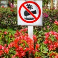 "Vratite ukradeno cveće, poklonićemo vam drugo": Ovako se opština Čajetina bori s kradljivcima zelenila