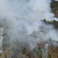 Alarmantno sanje na jugu Srbije! Bukte požari kod Svrljiga: U 3 sela gore šume i trava, ugrožana i domaćinstva