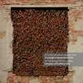 70. Umetnička kolonija Ečka – „Utopije kolektivnosti“ i izložba u Savremenoj galeriji Zrenjanin