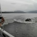 Horor na reci: Nilski konj prevrnuo čamac, nestalo 11 osoba, među njima i beba!