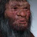 Ko je bio "čovek-zmaj": Otkrivena lobanja iz Kine menja sve što smo znali o evoluciji ljudske vrste