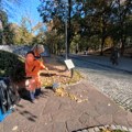 Jesenje uređenje Niša: Novo cveće na Trgu kralja Milana, sređivanje Tvrđave, parkova i bulevara