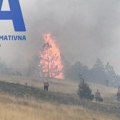 Širi se veliki i gust dim, a plamen preti da se proširi na obližnju šumu: Veliki požar u selu Gostilje nedaleko od…