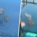 "Ostavio sam psa na dnu bazena": Ovaj snimak je izbezumio ljude, jasno je i zašto