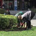 U toku jesenje uređenje zelenih gradskih površina