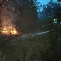 Vatrena stihija pod kontrolom: Vatrogasci morali ponovo da gase na brdu iznad sela Luka kod Trebinja