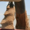 SAD razgovaraju o alternativnim načinima izvoza žita sa Turskom i Ukrajinom
