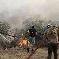 Besne požari na severoistoku Grčke Jak vetar otežava gašenje, do sada izgorelo 9 kuća