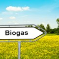 Prva turska bioelektrana u Srbiji, a razvijaju još tri vetroprojekta