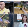 Opstanak javnog akvarijuma i tropikarijuma u Beogradu pod znakom pitanja