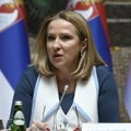 Paunović: Sledeće nedelje sednica Odbora o slučaju pucnjave na Senjaku
