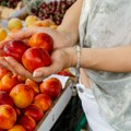 Nisu hteli ni da ga beru, neki počeli da seku stabla: Za samo nekoliko nedelja cena slatkog voća utrostručena!