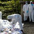 Slovenački ogranak "kavačkog klana" dobio 110,5 godina robije: Braća prodala tri tone kokaina, marihuane i ostale droge