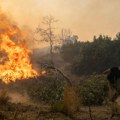 Dve osobe poginule u požaru u okrugu Magnezija u centralnoj Grčkoj