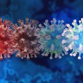 Eris, Pi i Pirola: Koja je razlika između tri nove varijante koronavirusa?