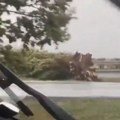 FOTO, VIDEO: Jak vetar pogodio Novi Sad i okolinu, na auto-putu kod Zmajeva drvo palo na kolovoz