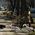 Užas u Beogradu: Otrovane pileće glave pobacane po parkićima, jeziv prizor mrtve mačke prenerazio sve: Vlasnici kućnih…