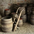 Renovirao vinski podrum pa slučajno napravio najznačajnije otkriće u poslednjih 150 godina otkopano nešto staro 40.000…