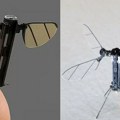 Robot-komarac koji špijunira Kineski mikrodron koji leti i snima preko telefona