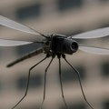 Робот-комарац који шпијунира Кинески микродрон који лети и снима преко телефона