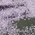 Da ti srce pukne! U ovom delu grad uništio lubenice, šljive, plastenike i čitava domaćinstva, šteta je ogromna