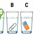 Test koji izluđuje milione Samo genijalci mogu da reše ovu mozgalicu sa čašom vode - da li ste i vi među njima?