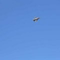 VIDEO Dramatična potera na nebu iznad Dubaija: F-16 srušio iranski Šahed, a sve su posmatrali ljudi sa plaže