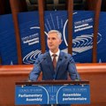 Stanković (NPS Niš): Posmatračka misija Saveta Evrope još nije pozvana da prati izbore u Srbiji, nadležni da objasne zašto…