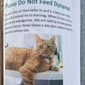 Vlasnica alavog mačka moli komšije da ga ne hrane!