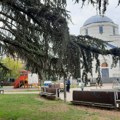 Pregled štitne žlezde u parku Sveti Sava