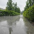 Posle potopa u Beogradu RHMZ izdao novo upozorenje, na udaru centralna Srbija, Braničevo i Banat
