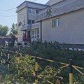 Aktivisti negoduju zbog seče drveća u dvorištu OŠ “Stefan Nemanja”